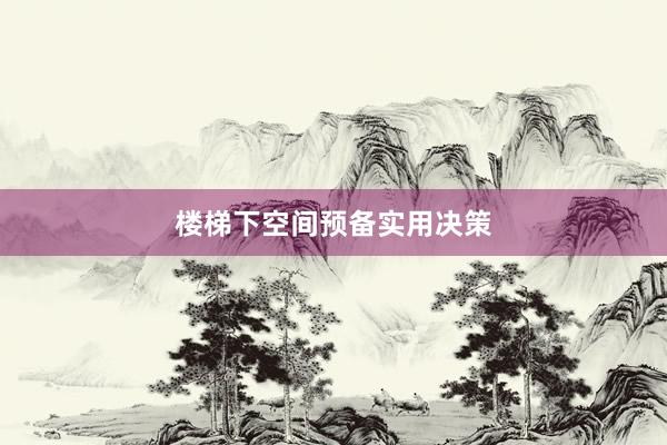 楼梯下空间预备实用决策
