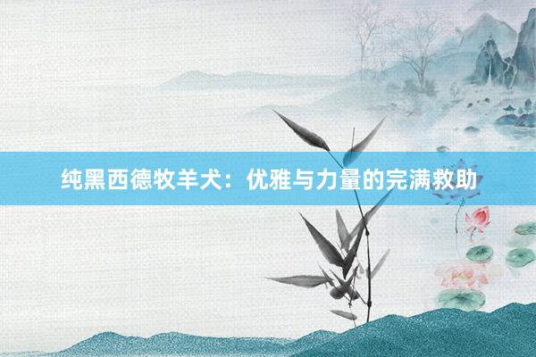 纯黑西德牧羊犬：优雅与力量的完满救助